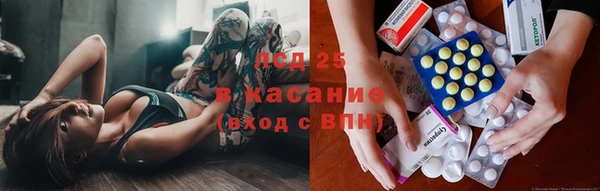 ешки Белокуриха
