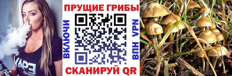 как найти закладки  Кодинск  Галлюциногенные грибы мухоморы 